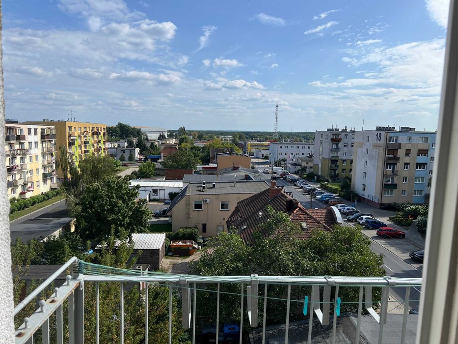 Zdjęcie 8