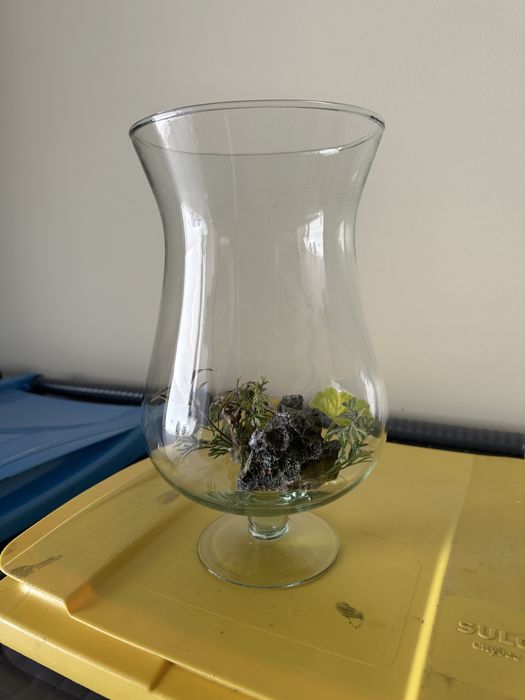 Aquário para peixes de água fria