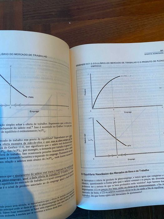 Macro-economia de Rudiger Dornbush e Stanley Fischer