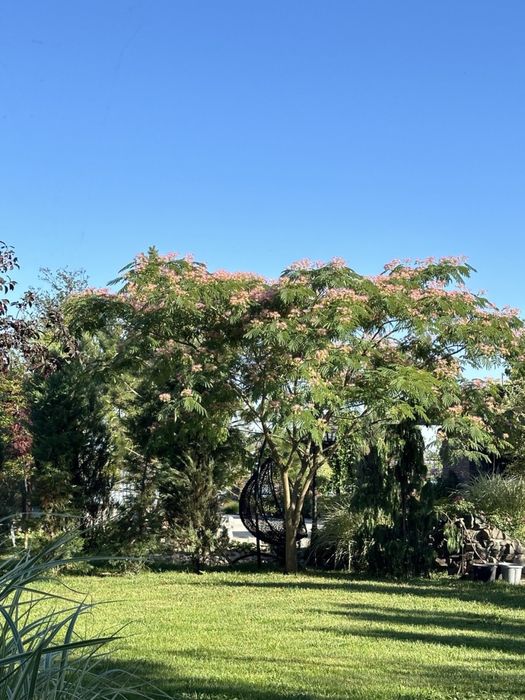 Продається сучасний будинок біля річки с Баловне