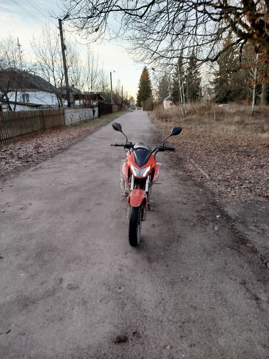 Продам мото геон пантера