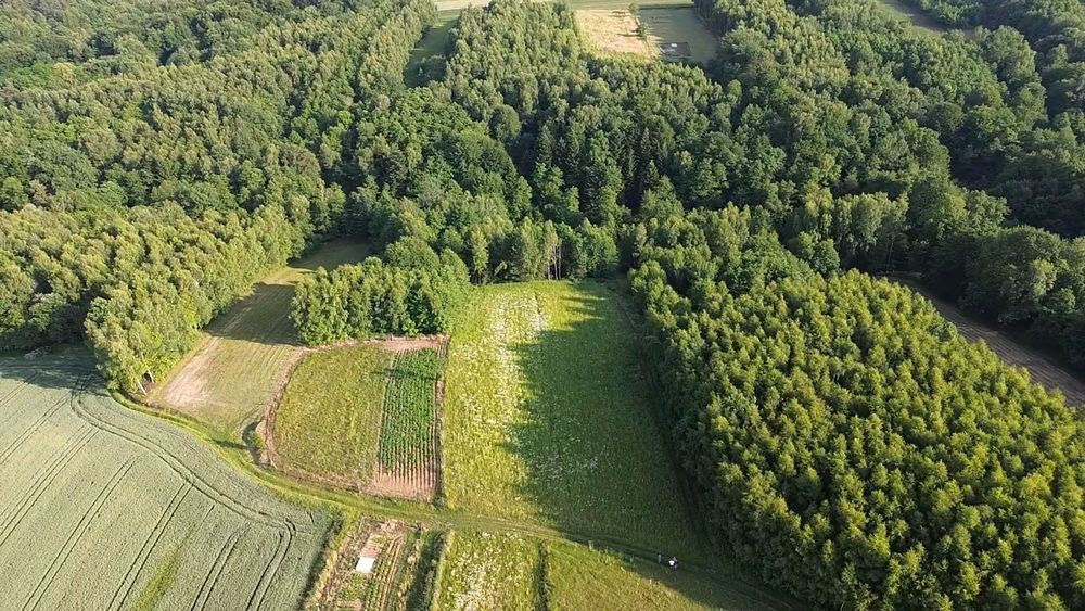 Sprzedam działki budowlane WZ Ropczyce - Granice piękne okolice!