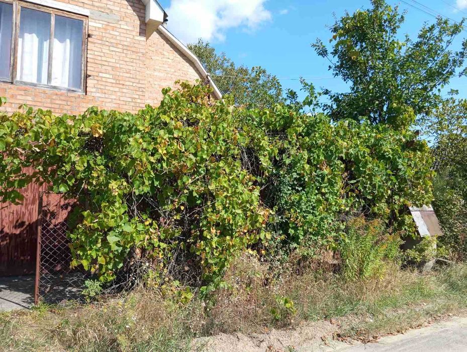 (3) Продам дачний будинок в с. Юзвин (Некрасово) 2741