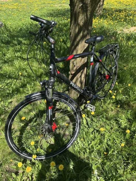 Rower meski Pegasus solero shimano pedało duzy rower