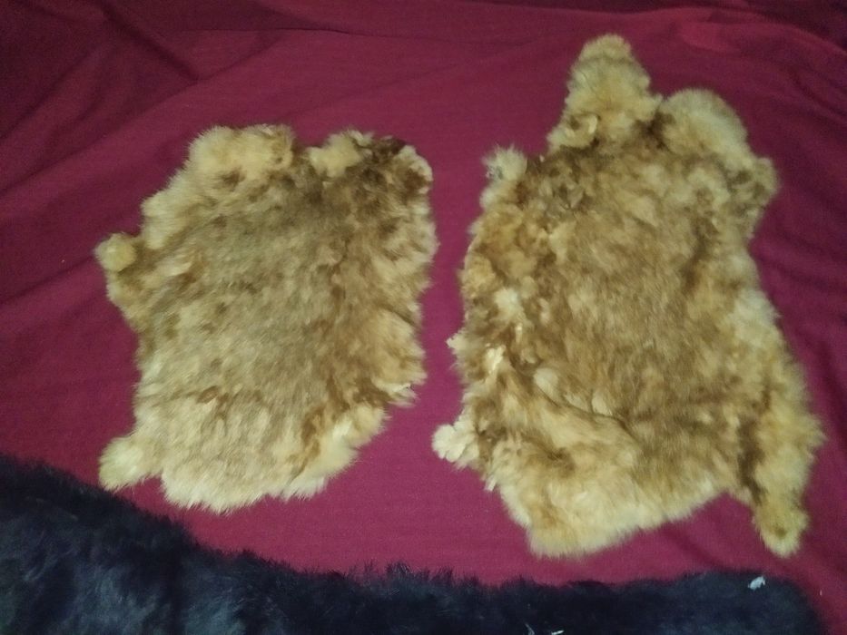 Шкурки та воротник