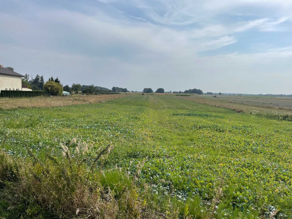 Działka rolno-budowlana - Widok 2
