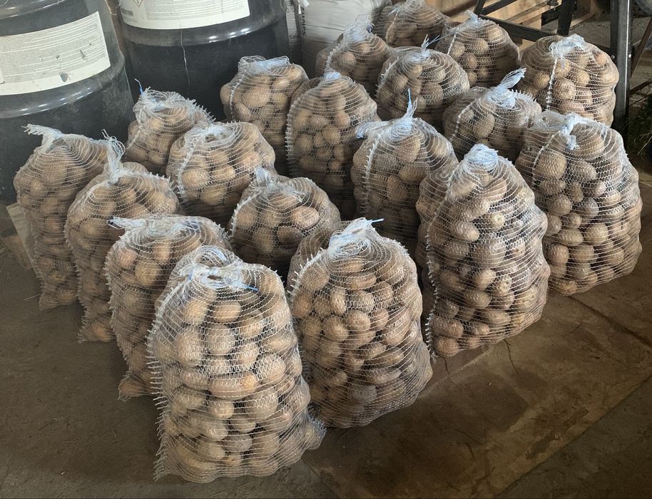 Sprzedam ziemniaki IRGA 25 zl za worek 15kg