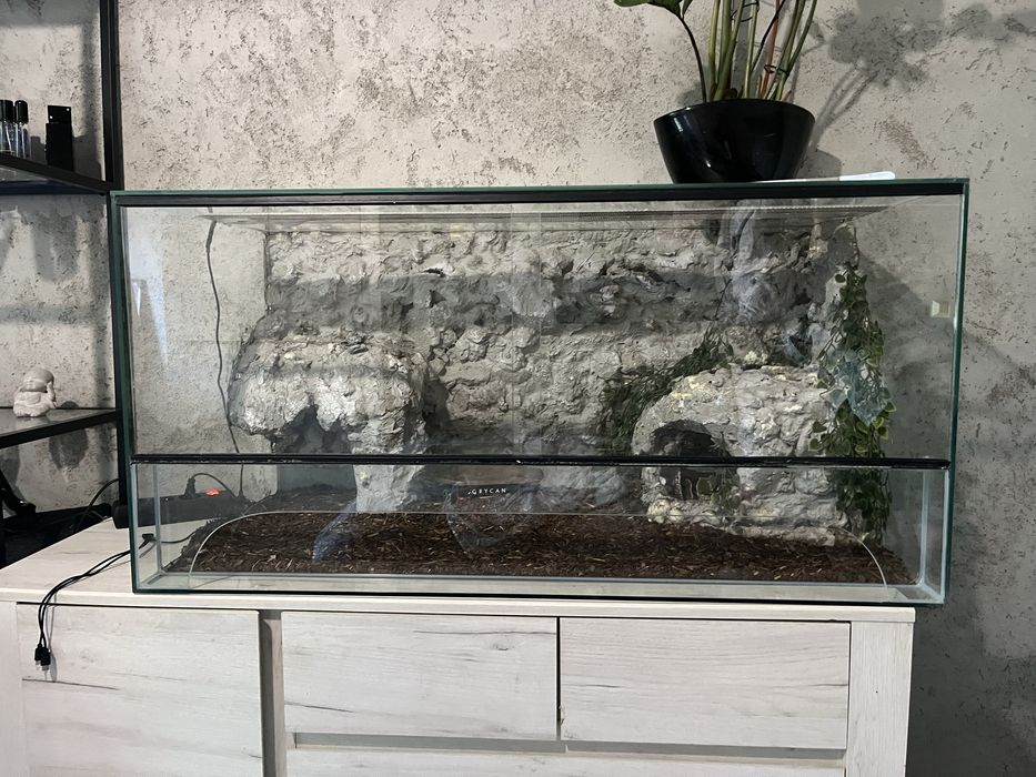 Modelka+terrarium
