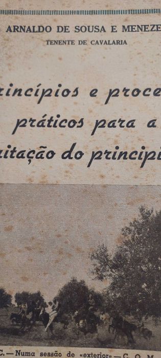 Processos práticos para equitação principiantes