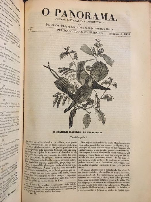 O Panorama Jornal Litterario e Instructivo (1838)