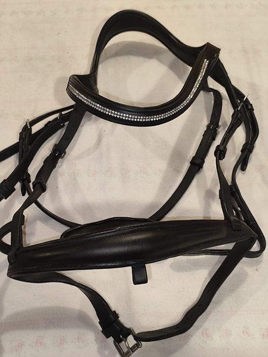 Ogłowie z cofniętą potylicą