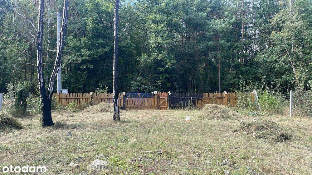Działka budowlana przy lesie | fundamenty | media | Chinów, Kozienice