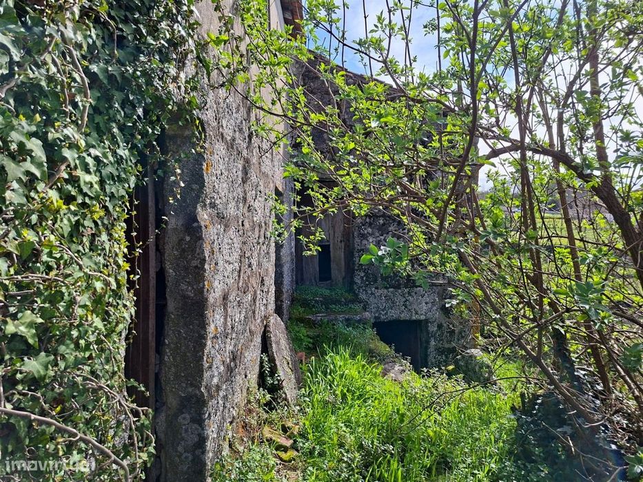 Moradia para Restaurar T2 Venda em Santa Marinha do Zêzere,Baião