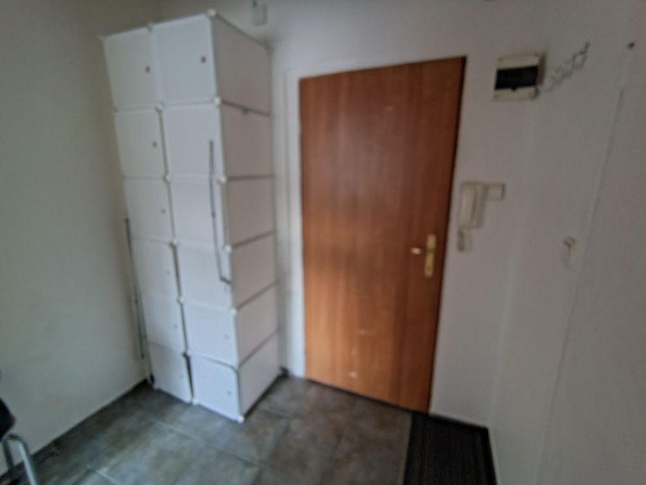 Zdjęcie 5