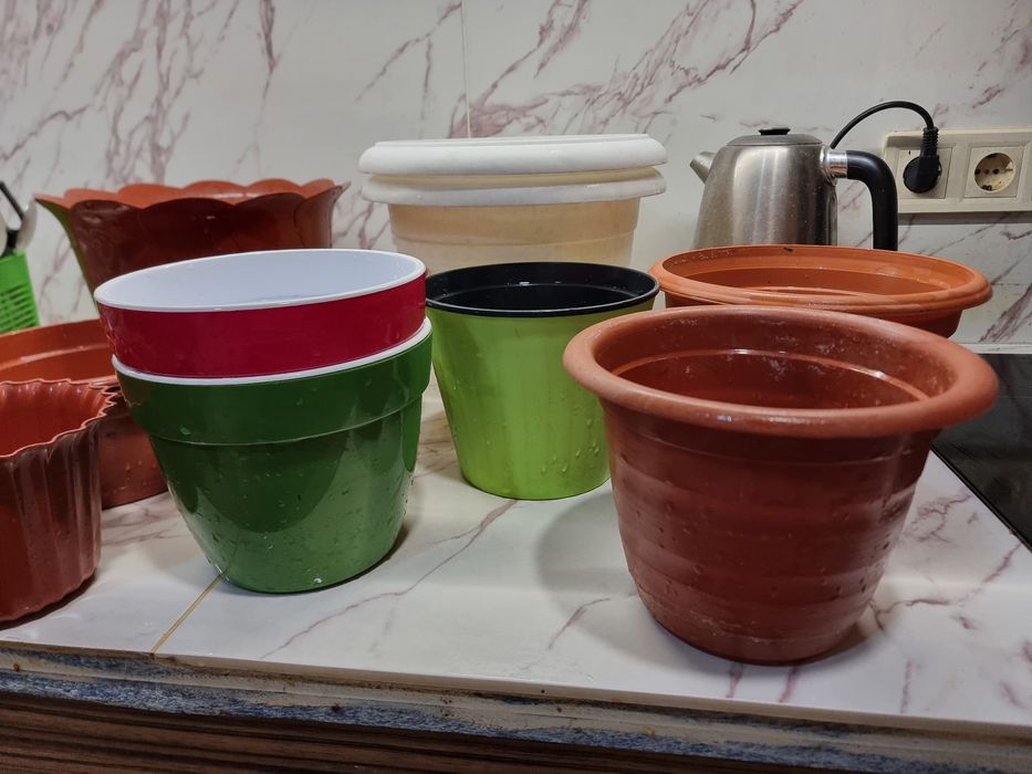 Пластиковые горшки от 15 до 20 см в диаметре