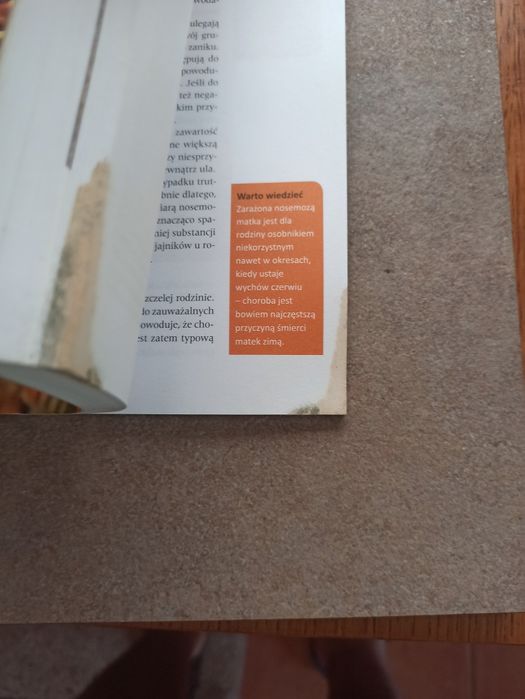 Zdrowie pszczół Ritter
