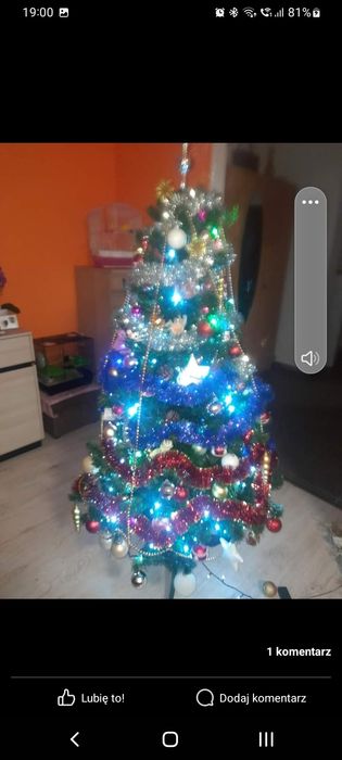 Choinka 180cm...