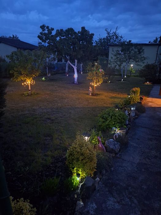 Działka ROD 279m2 Magnolia Grudziądz