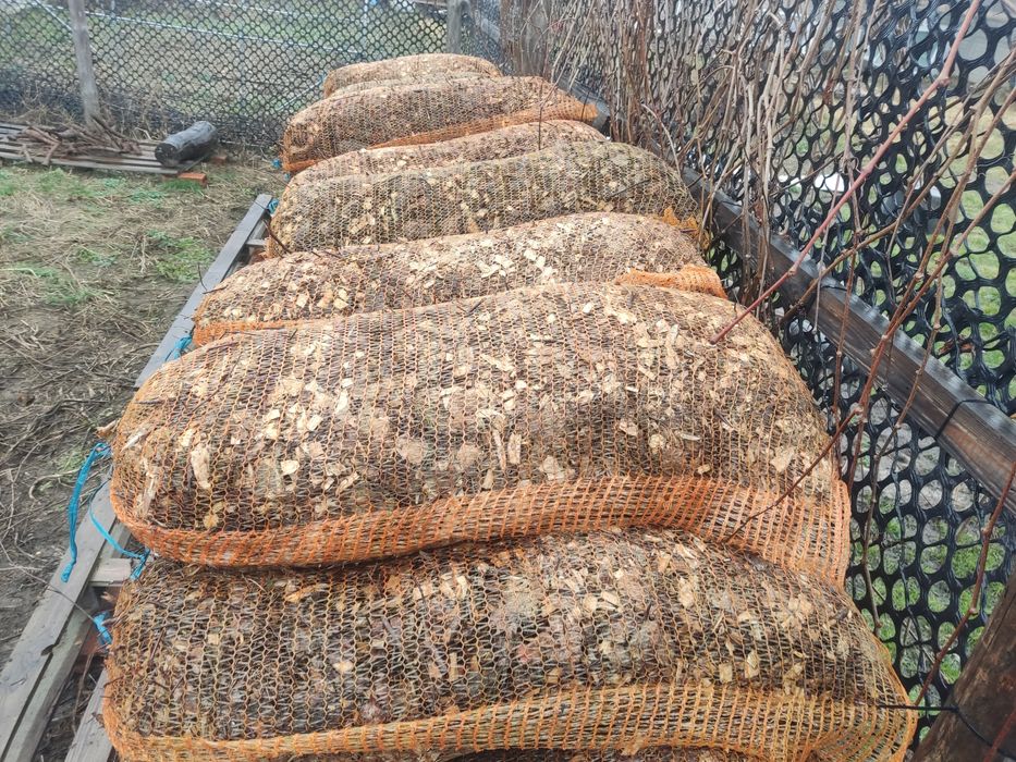 Zrębki drzewne liściaste