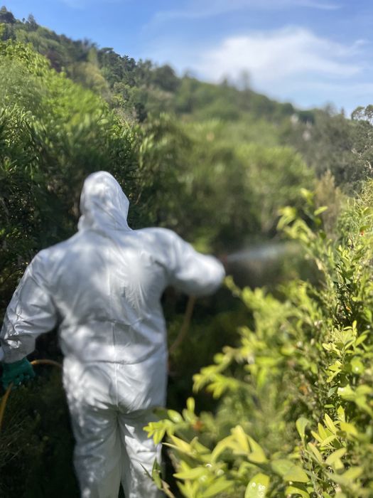 Jardineiro Aplicador de Insectsidas autorizado