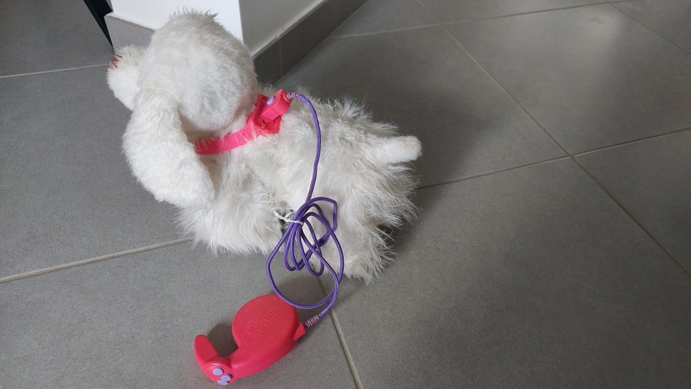 Cão de brincar a pilhas