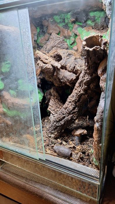Terrarium z oświetleniem