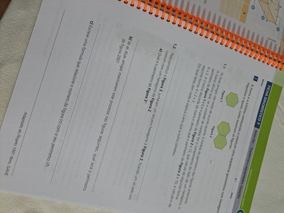 Caderno de atividades Matematicamente falando 8 ano
