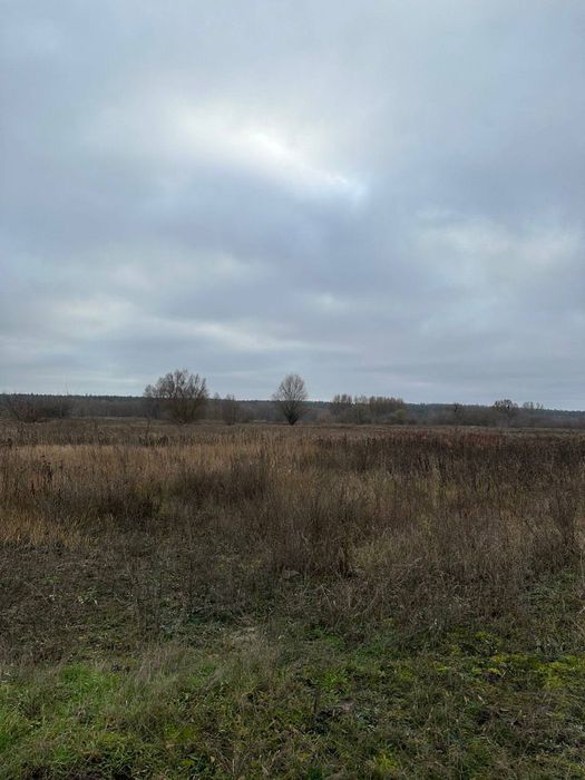 Ділянка під забудову 45 соток  в Ірпіні