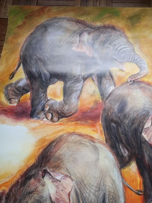 Poster / cartaz do zoológico de Berlim