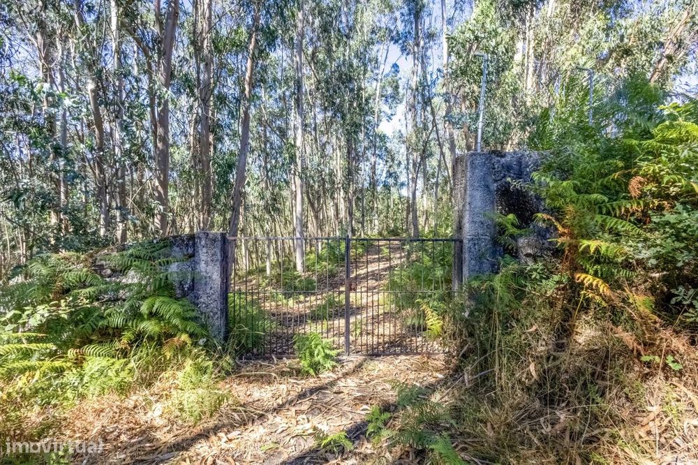 Quinta com 2 Hectares e Casa em Pedra para Recuperar em Gomide, Vila V