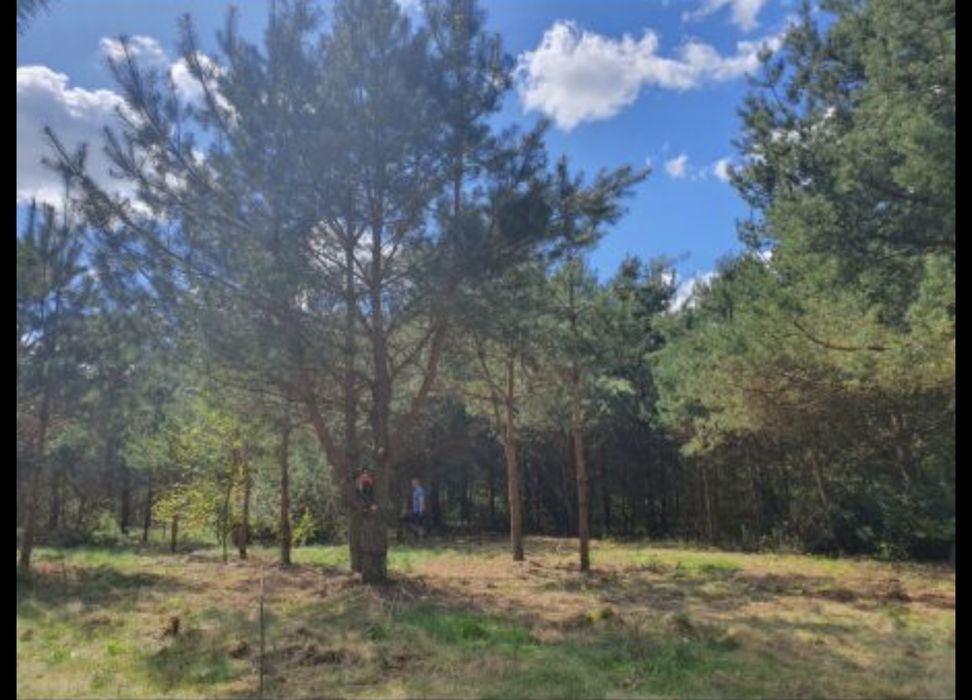 Działka na mazurach, wieś Kolonia gmina Świętajno. Wydane war.zabudowy