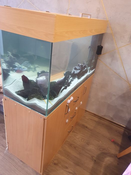 Akwarium malawi z pyszczakami 200l 100x40x40cm