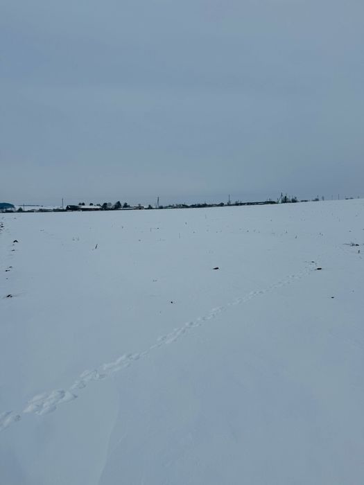 Ділянка під забудову 2.6 га Колоденка