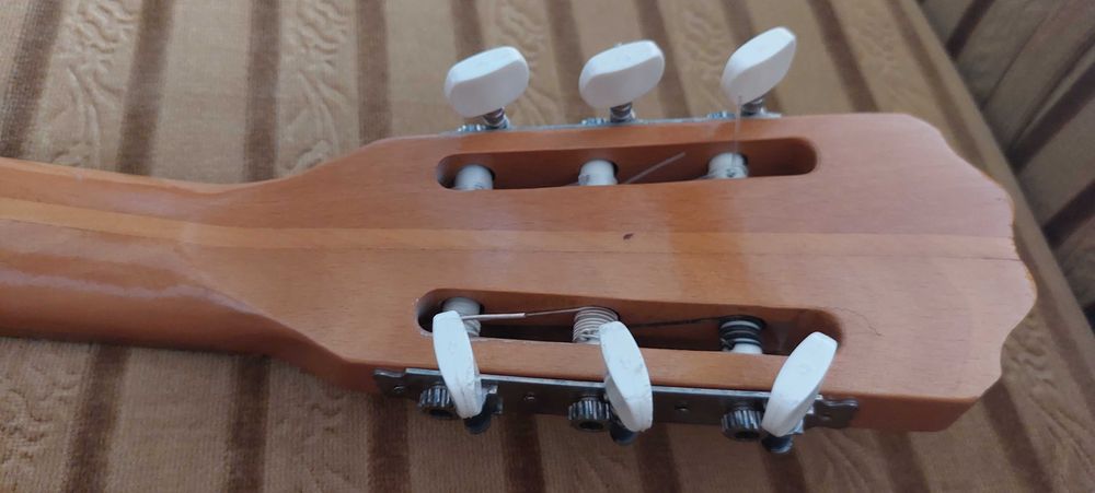 Gitara akustyczna Delfin