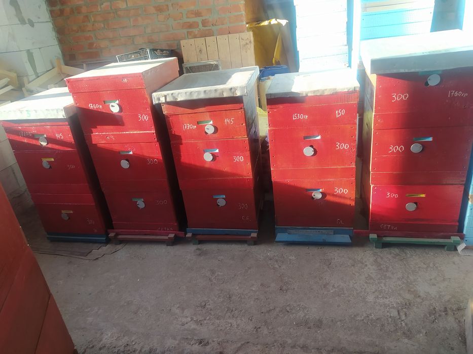 Вулики дерев'яні на 10 рамок дадан