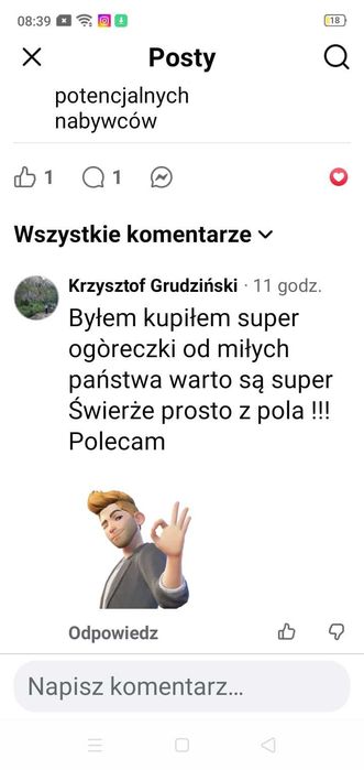 Ogórki uprawiane na emach
