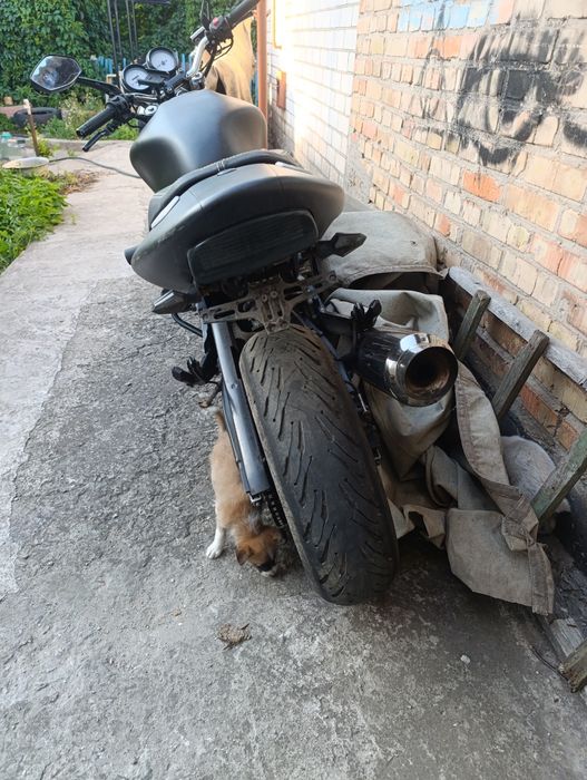 Honda hornet cb600f