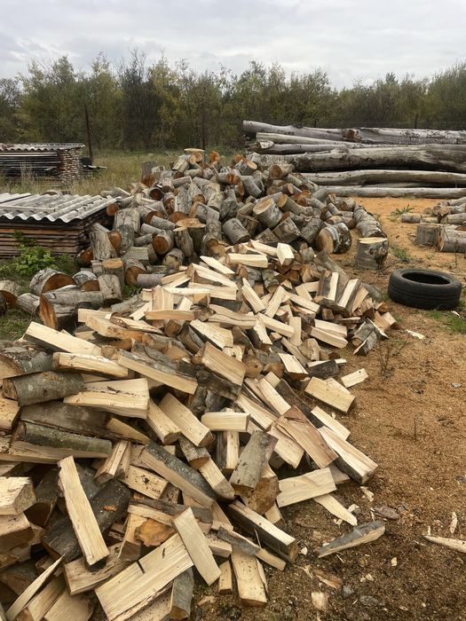 Дрова букові колоті