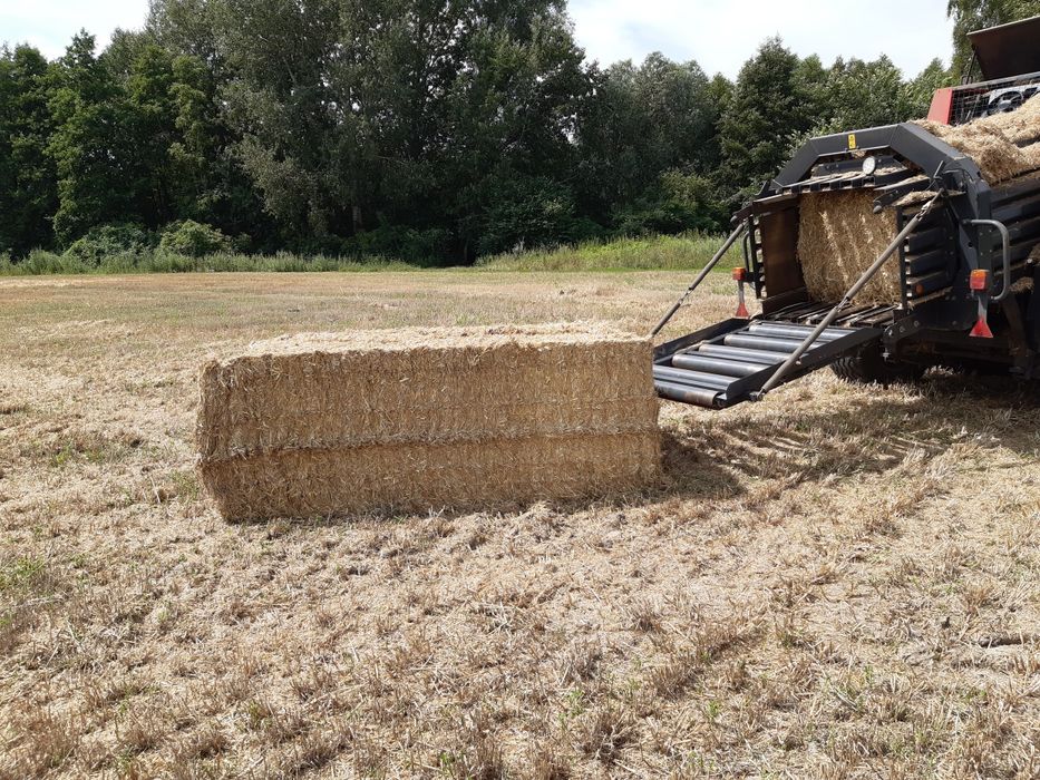 Prasowanie usługowe słomy duża kostka 35 zł za kostkę prasa vicon usługa  Krone Claas kuhn  . Nie okrągłe  nie kulki bele