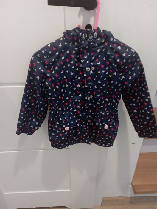 Kurteczka przejsciowa