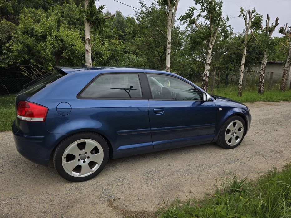 Audi A3 8P 1.9TDI 105Km
