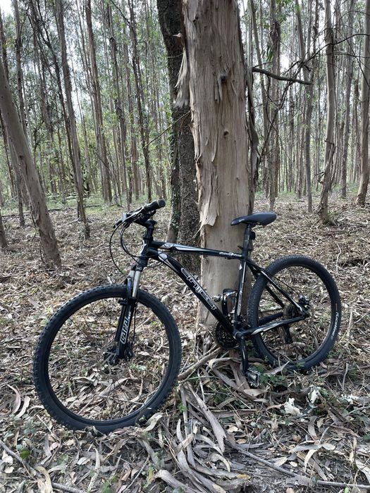 Bicicleta de Xc