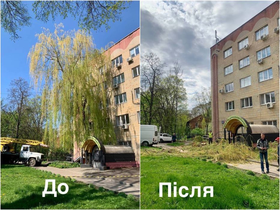 Автовышка, спил деревьев, обрезка веток.