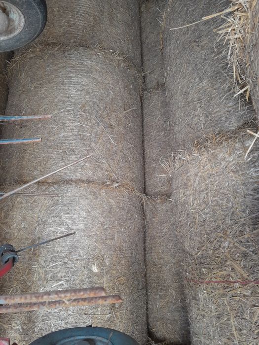 Słoma sucha bele baloty 120 x 120