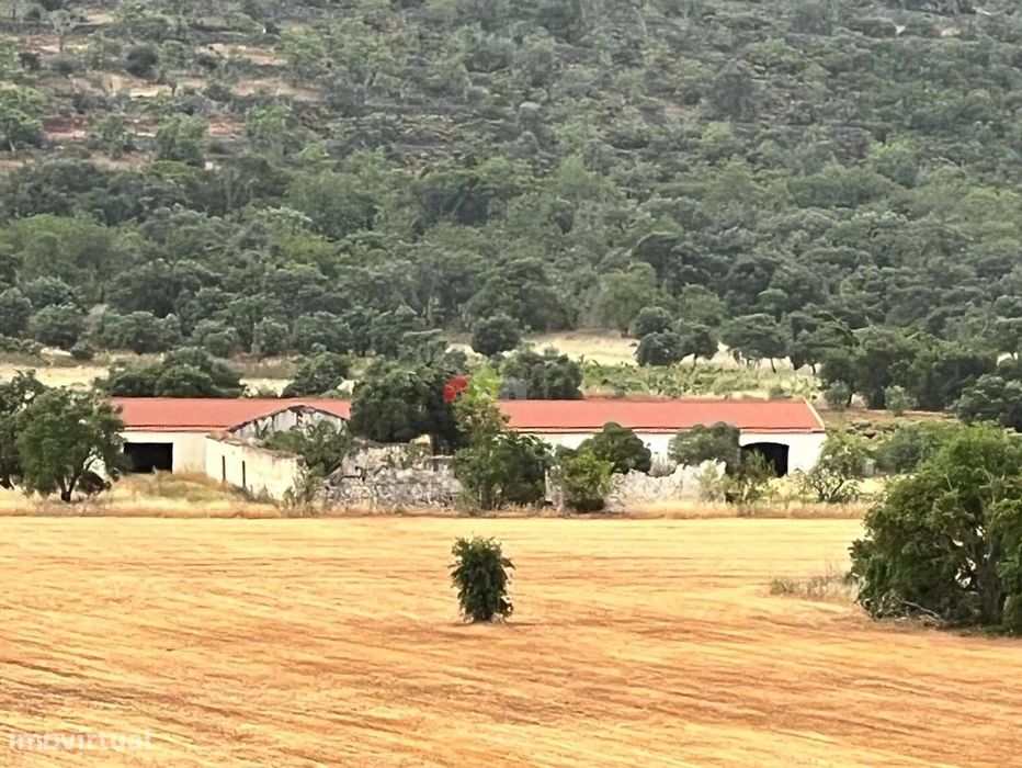 Quinta em Loulé com 9.5 ha com 850 m2 construção