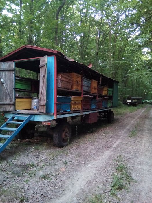 Прицеп для перевозки бджіл