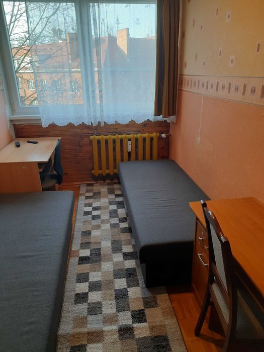 Zdjęcie 5