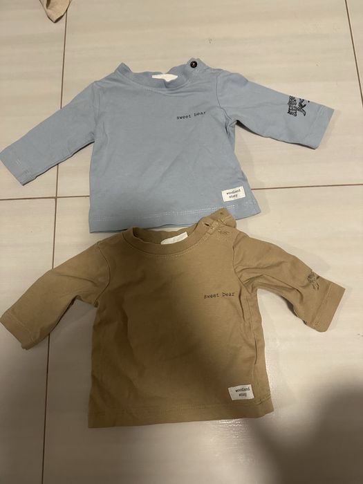 Bluzki coccodirlo 56