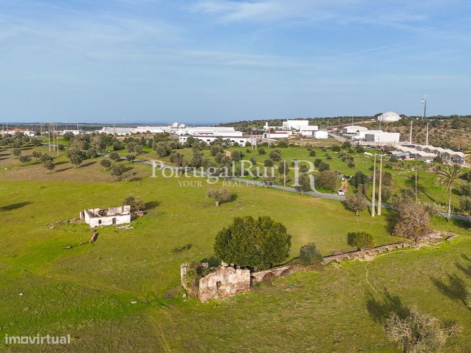 Quinta de 22 hectares em Avis, Portalegre