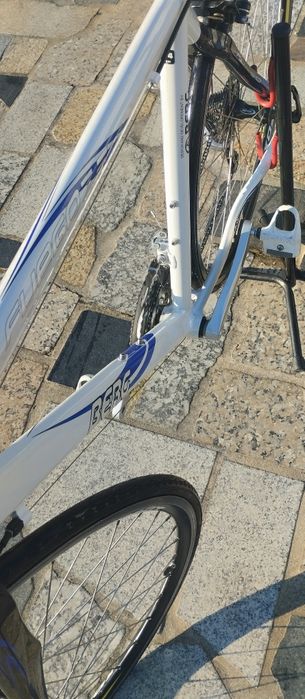 Berg estrada Fuego 7.5 tamanho 54